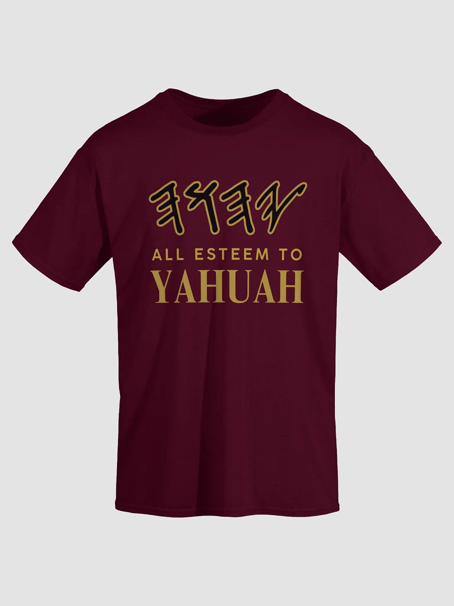 Yasharal Original Music: All Esteem To YAHUAH | T-Shirt | Maroon product image (3)