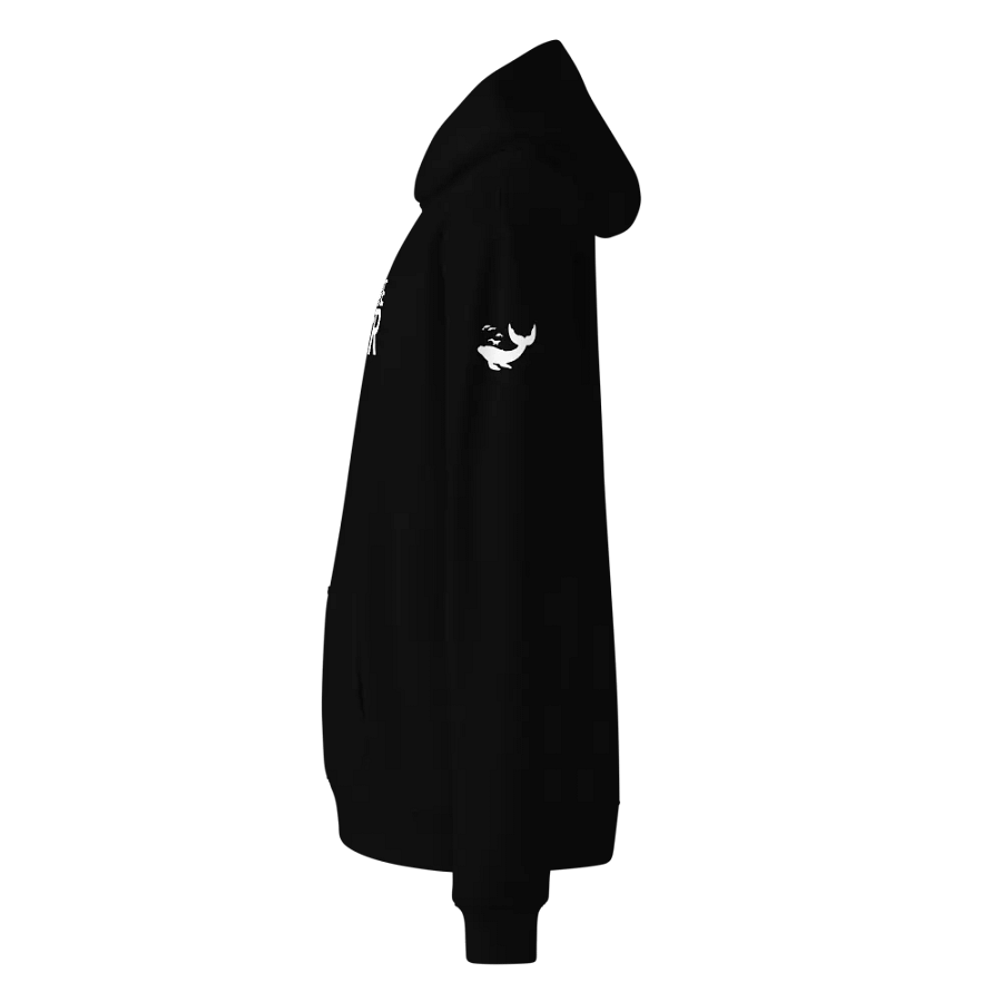 Into the Aether Logo | Hoodie product image (12)