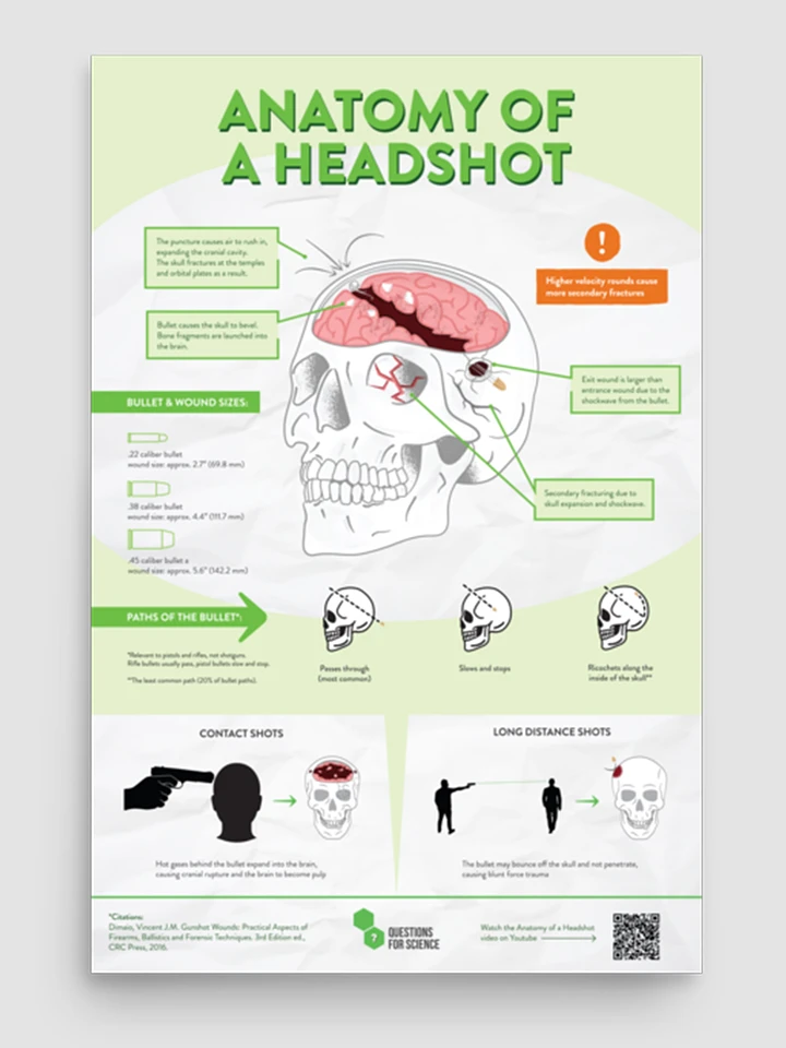 Anatomy of a Headshot Poster 12