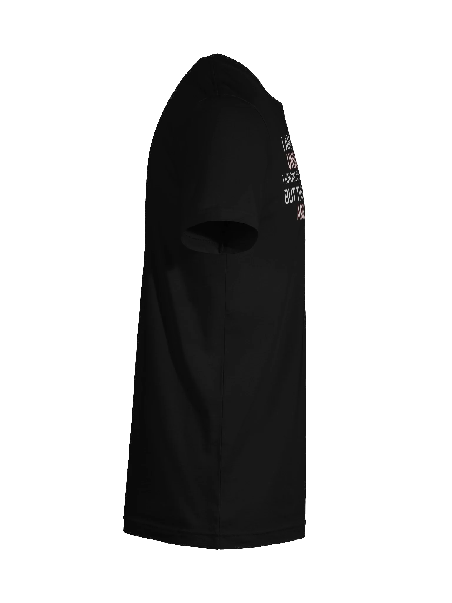 Unsupervised Possibilities Are Endless! T-Shirt product image (24)