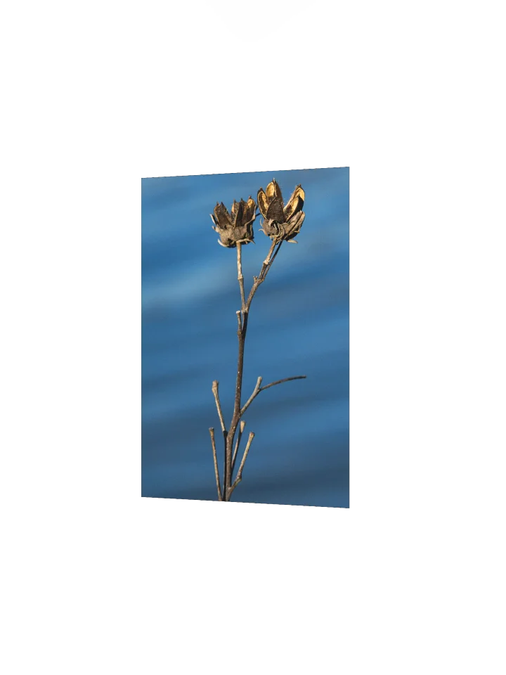 A Rush With Stillness (Matte Poster) product image (4)