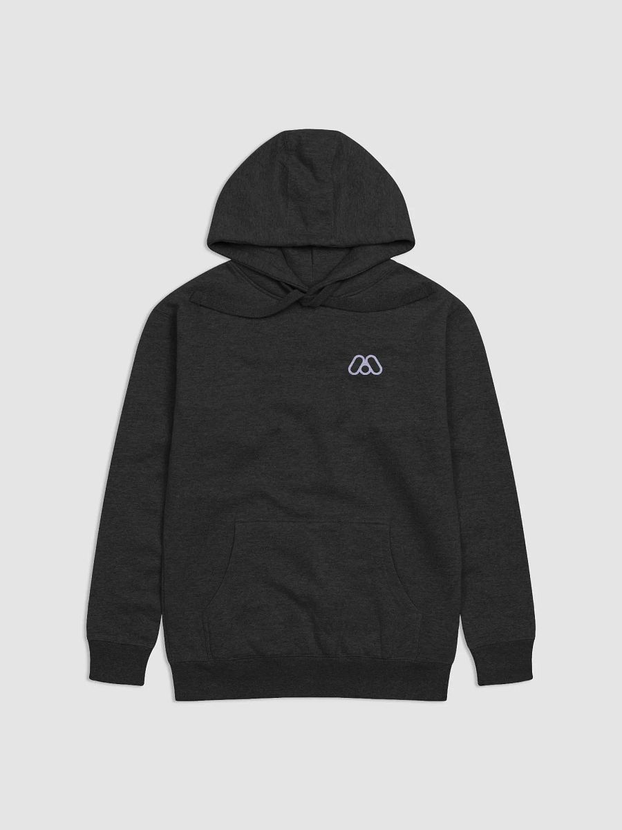 MANIFOLD LABS HOODIE - SN4 product image (2)