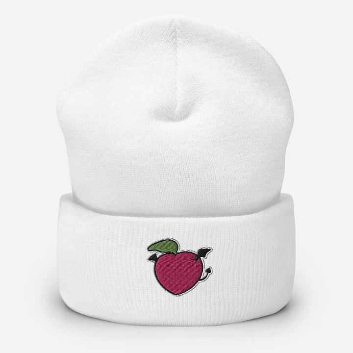 Peach Embroidered Cuffed Beanie product image (2)