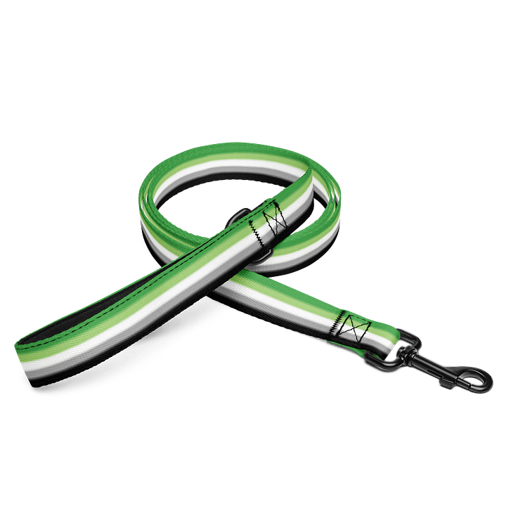 Aromantic Pride Flag Pet Leash product image (1)