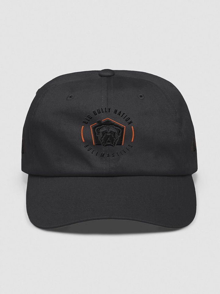 BBN Logo 2 Dad Hat product image (3)