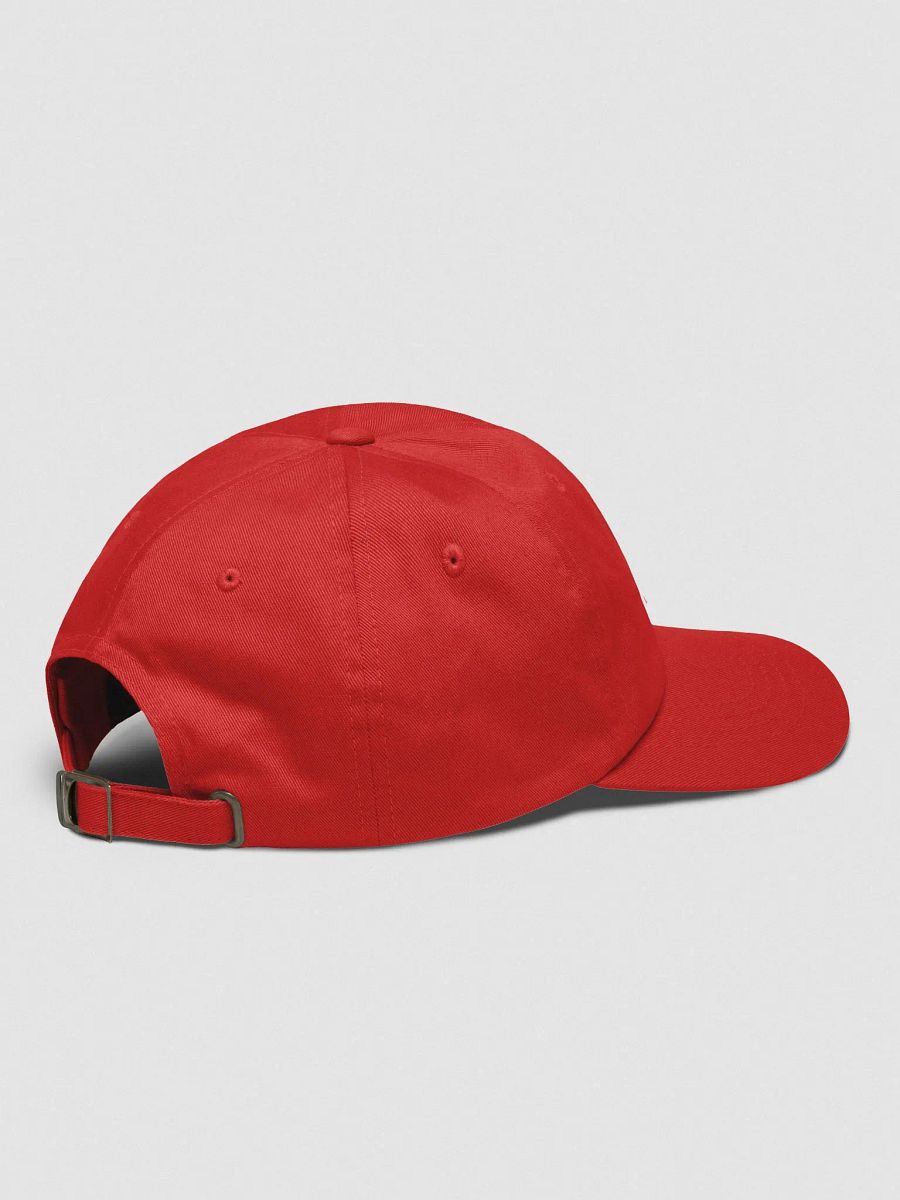 TOD Embroidered Hat (Black Logo) product image (4)