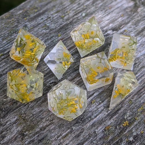 Florals 🤩

Were these weeds we removed while doing yardwork? Yes. Are they adorable and perfect for #dice? Also yes.

#dungeo...