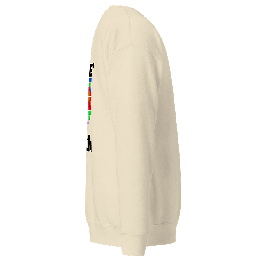 Gamer Pride Embroidered Sweatshirt product image (39)