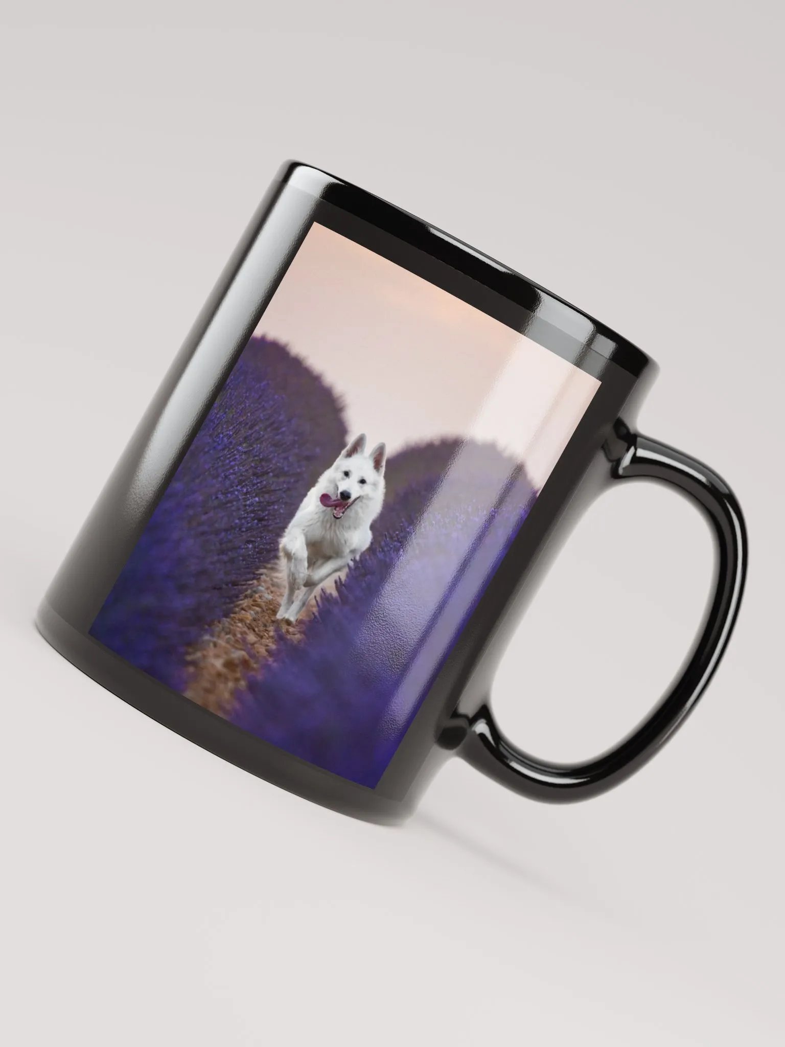 Rasta in the lavender fields product image (7)