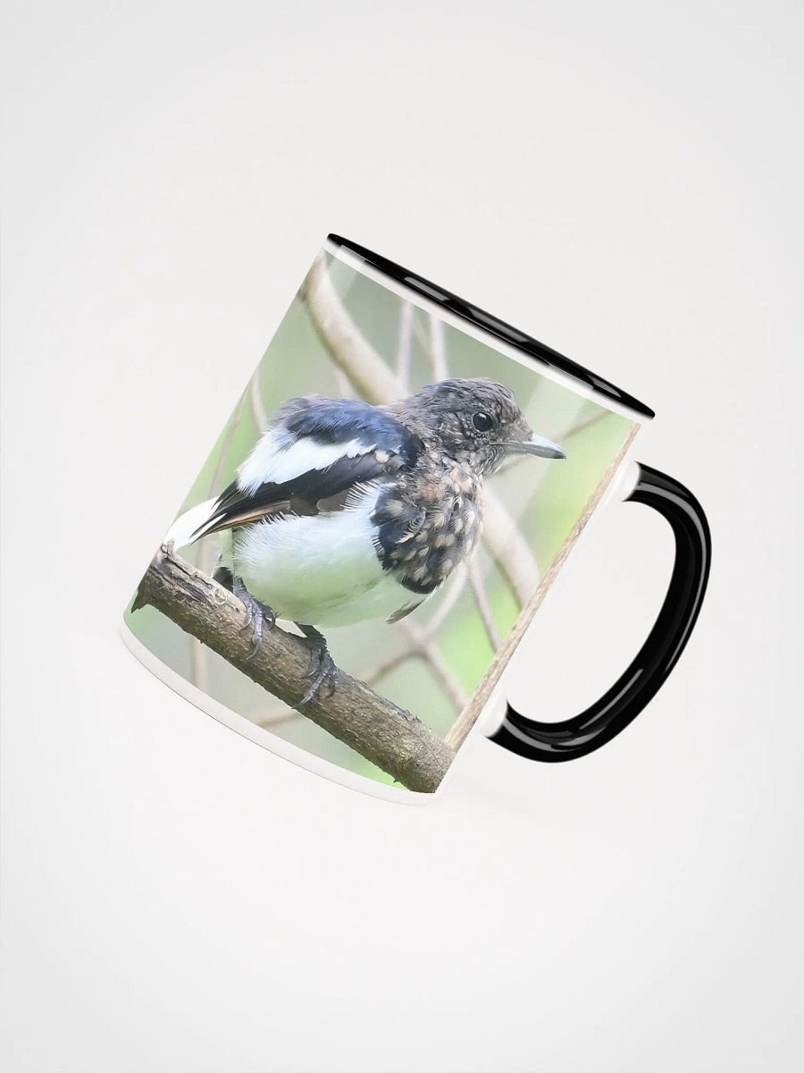 IUCAA Birds: Ceramic Mug with Color Inside product image (4)