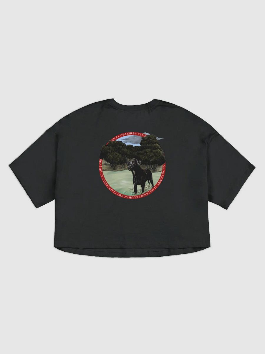 Kirby Club Crop Tee product image (3)