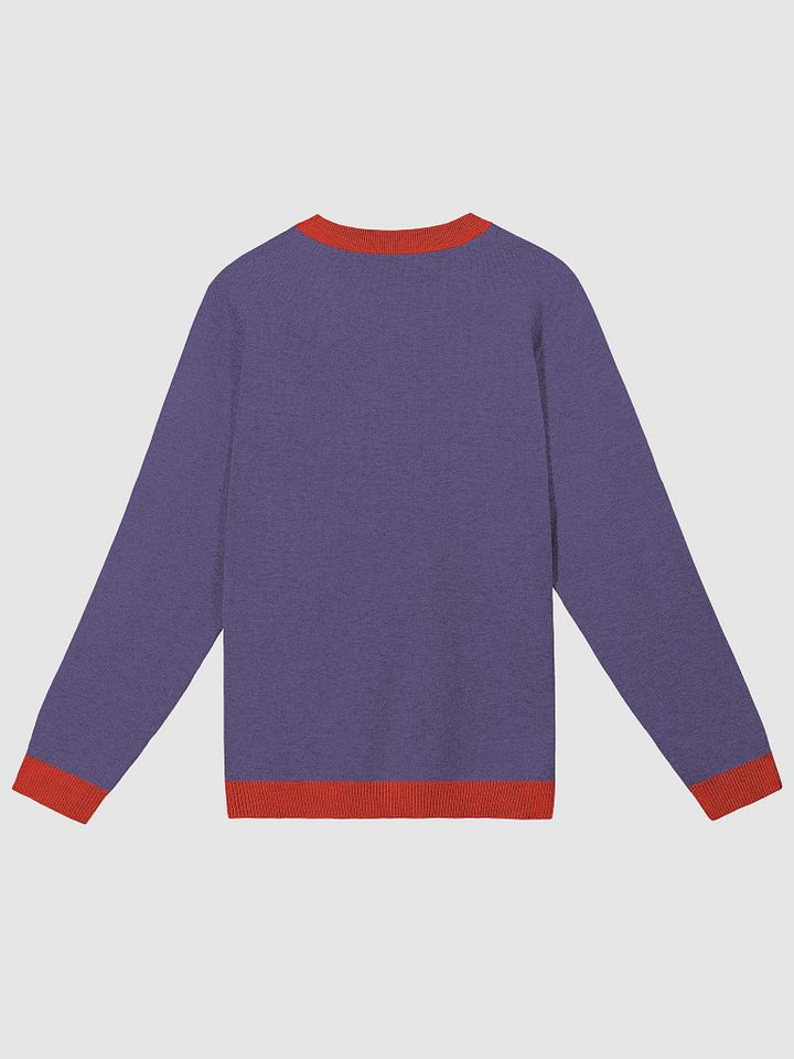KRIZHAN '28 HOLIDAY SWEATER product image (2)