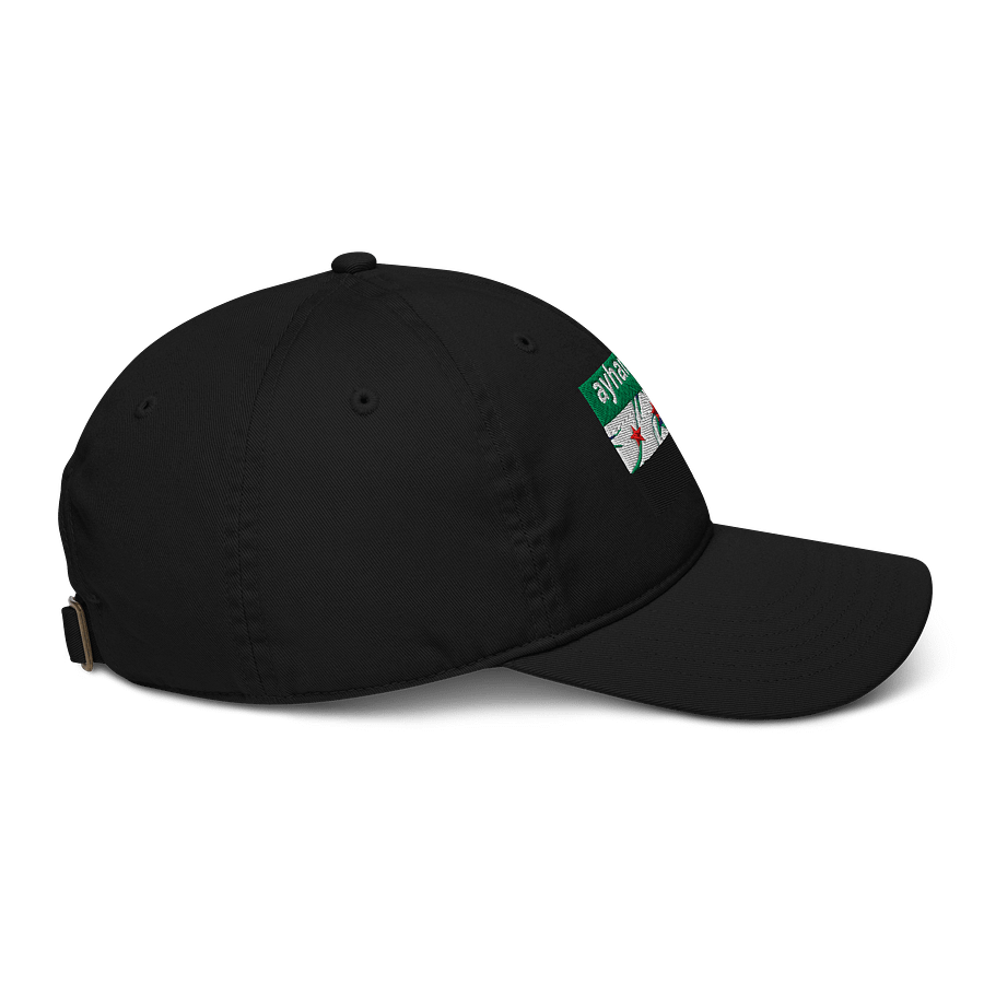 Organic Starry Wave Dad Hat product image (5)