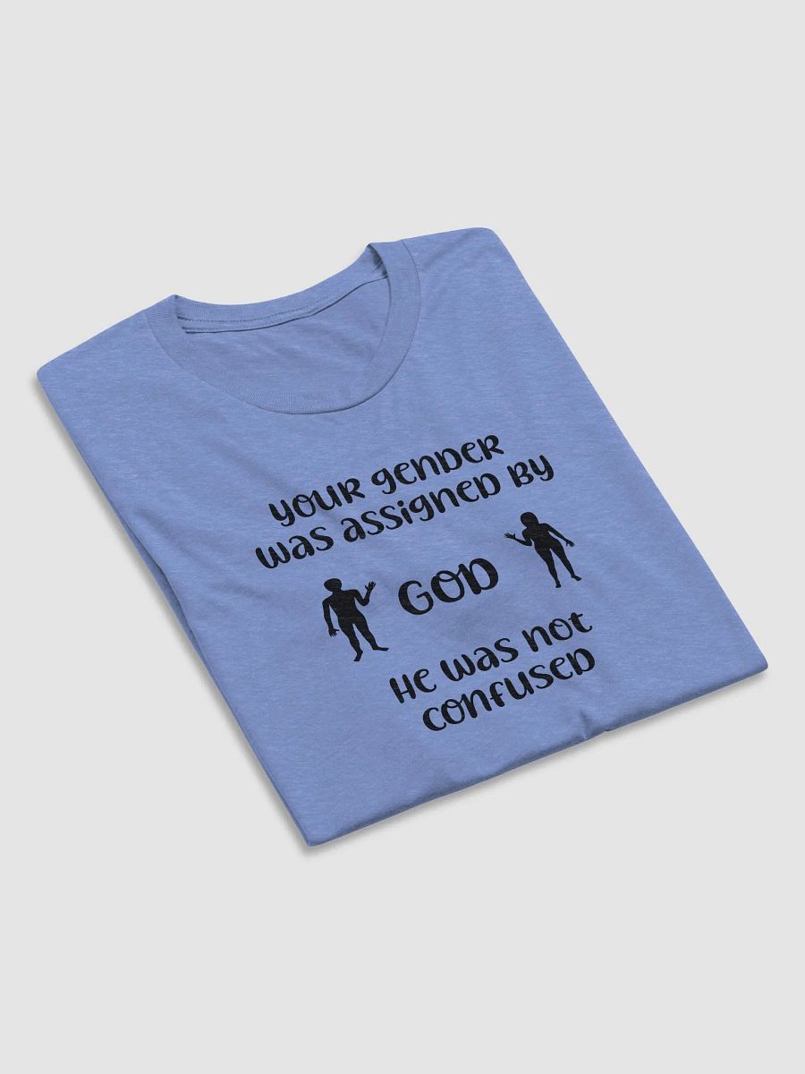 Your Gender Was Assigned by GOD. Tri-Blend Tee product image (5)