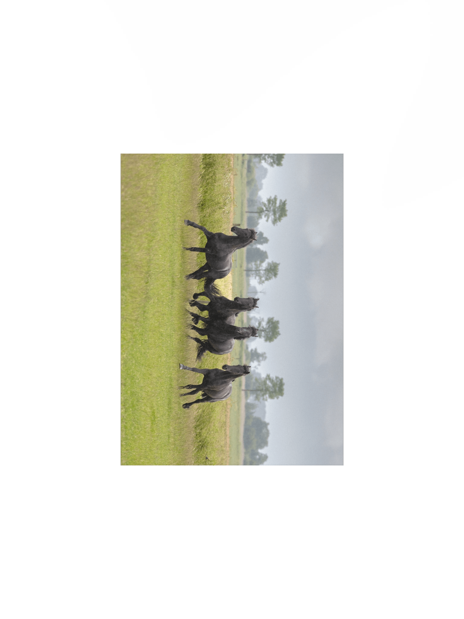 Wûnder, Willem, Wytse W & Wytse product image (2)