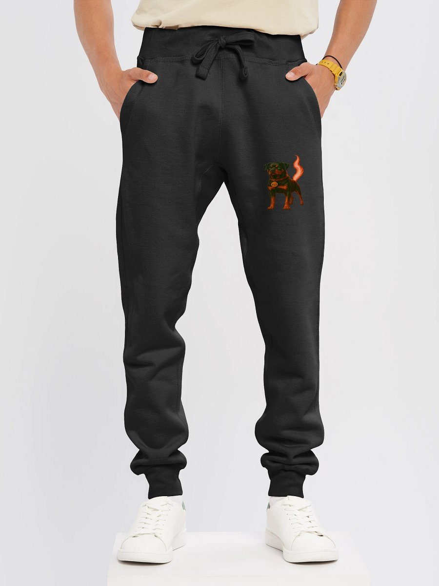Blaze Joggers (Part of a matching set) product image (3)