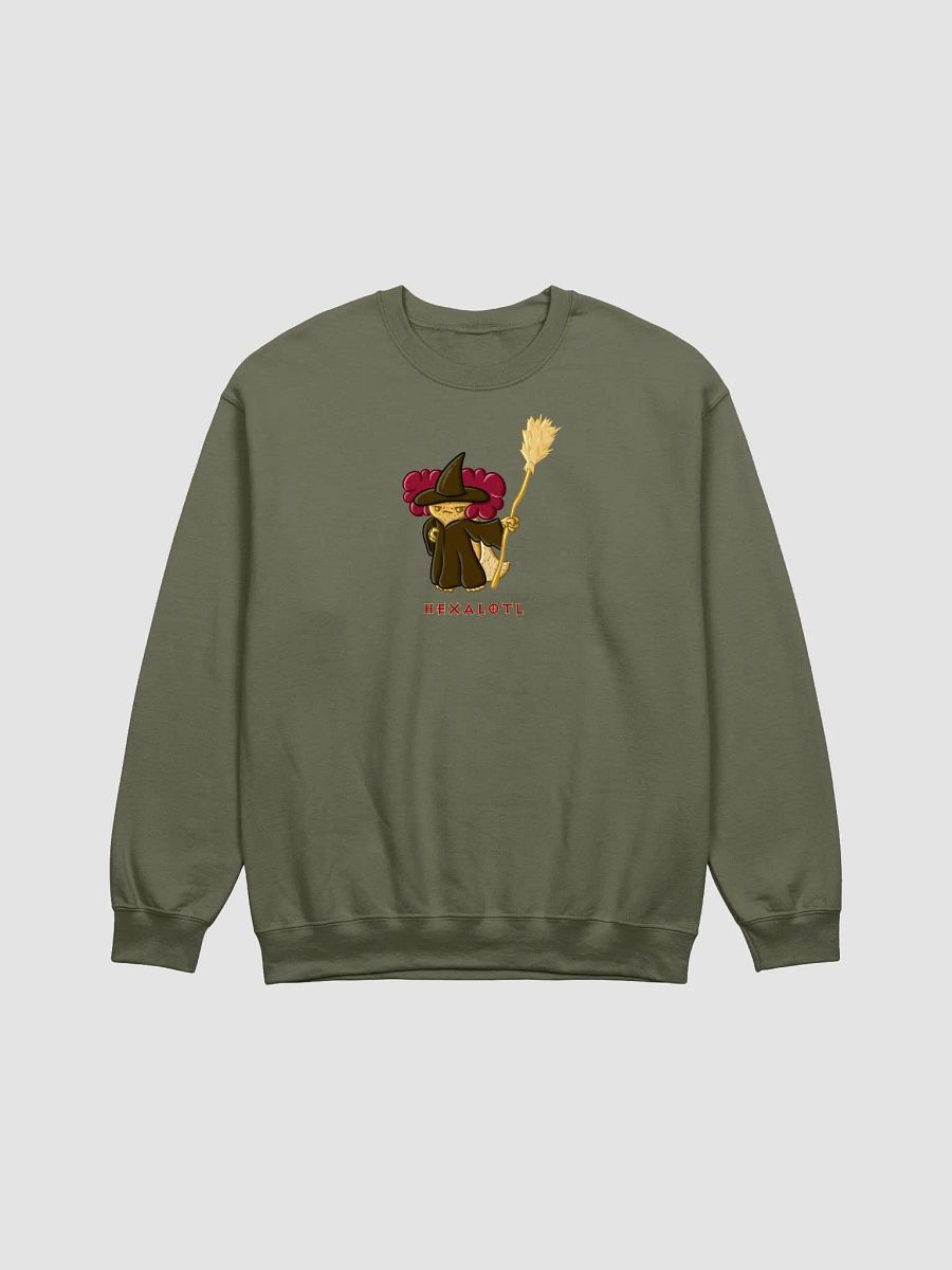 Hexalotl Sweatshirt product image (1)