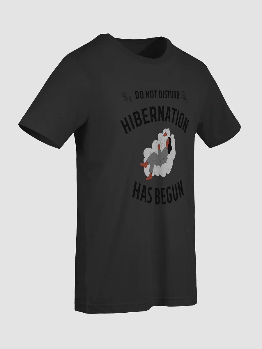 Do Not Disturb: Hibernation Has Begun Shirt product image (9)