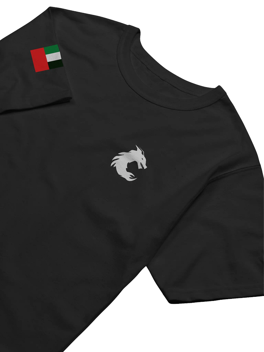 RVL Esports | Champion Relaxed-Fit T-Shirt product image (9)