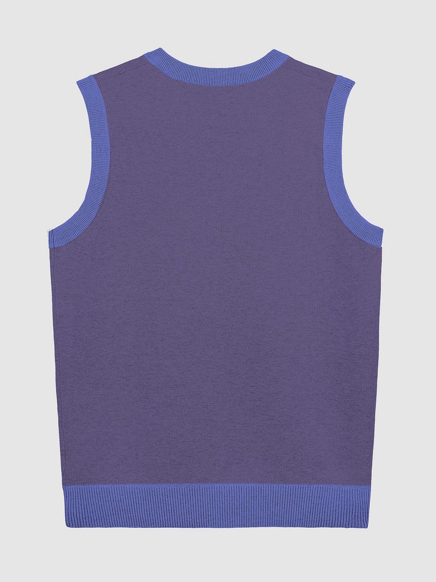 Bubbly and a B*tch (lg. design, violet and royal) knitwear vest product image (6)