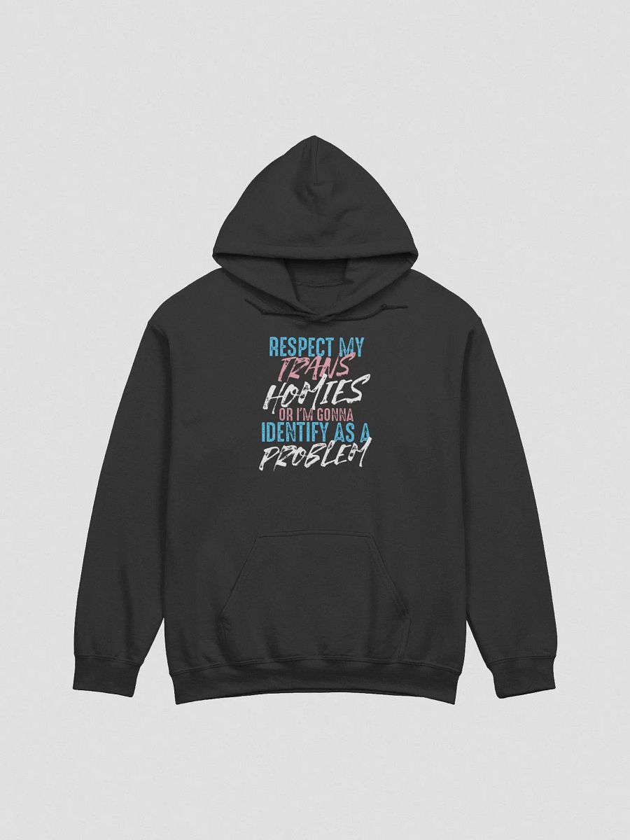 RESPECT TRANS HOMIES HOODIE CENSORED product image (1)