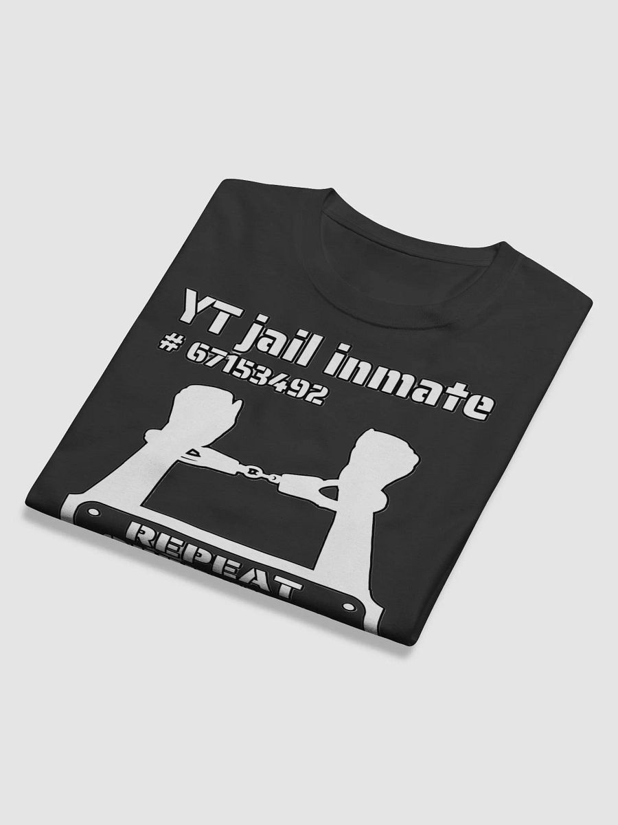 YT JAIL INMATE REPEAT OFFENDER product image (12)