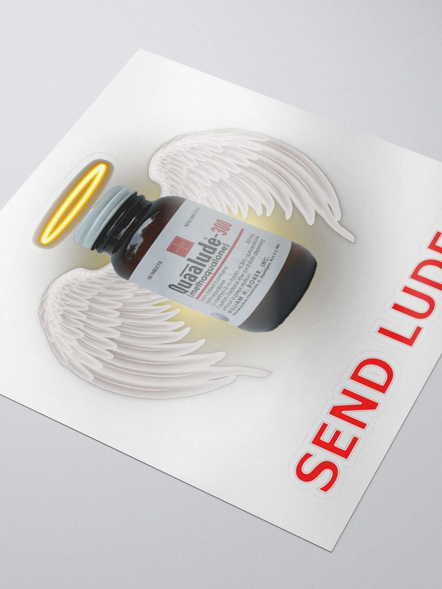 Send Ludes Sticker product image (3)