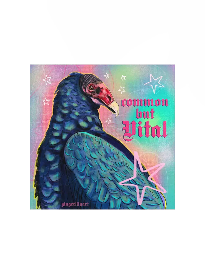 turkey vulture print product image (2)