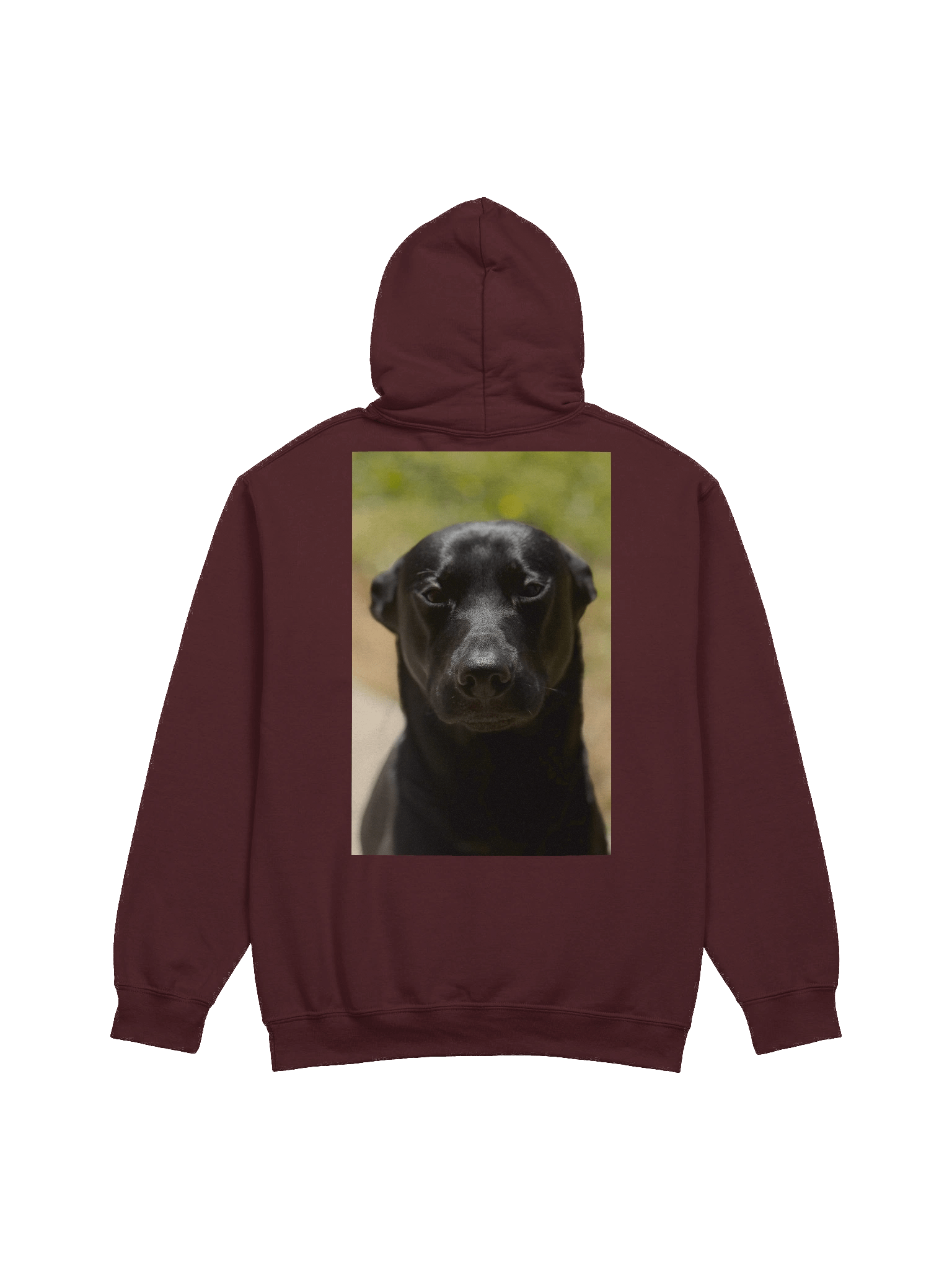 PN Classic Hoodie Limited product image (4)