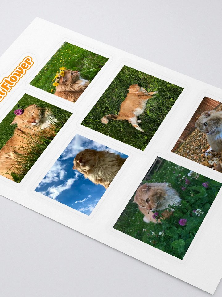 Fat Cat Flower Photos Sticker Sheet product image (2)