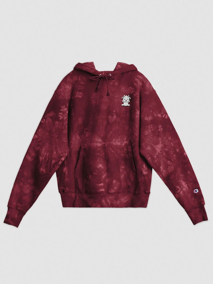 BOOGIE BATISTA Champion Tie-Dye Hoodie product image (1)