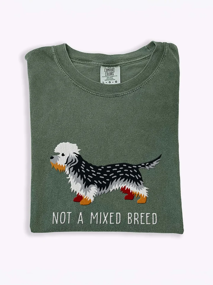 Not a Mixed Breed T-Shirt(Embroidered) of a Dandie Dinmont Terrier(Pepper) product image (1)