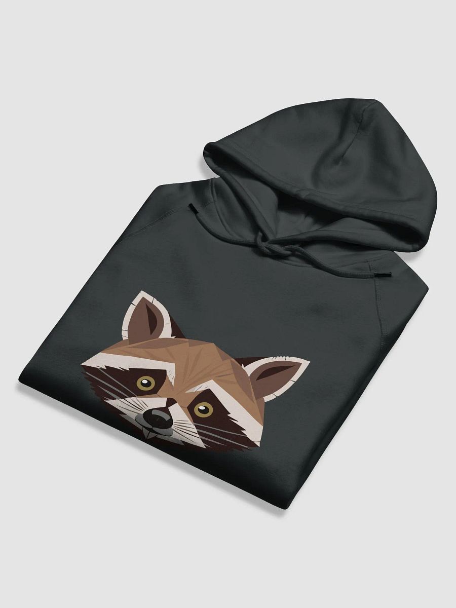 Raccoon hoodie product image (6)