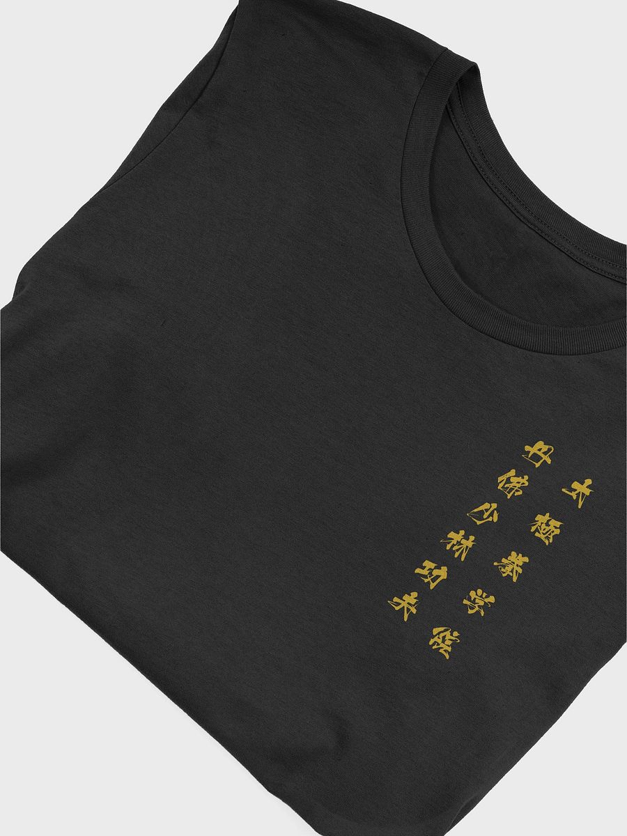 DSTJI T-Shirt product image (45)