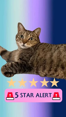🚨5 STAR ALERT🚨Episode 13 had 3 5-star books!
🌟The River of Silver - @sachakrabooks 
🌟The Rise & Fall of the Dinosaurs - @stev...