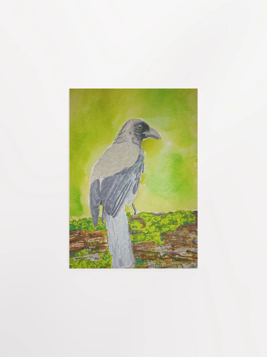 Corvid Series [05] Grey Treepie poster print product image (1)