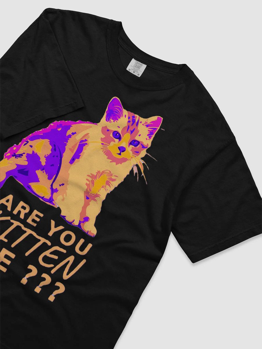 ARE YOU KITTEN ME??? product image (36)