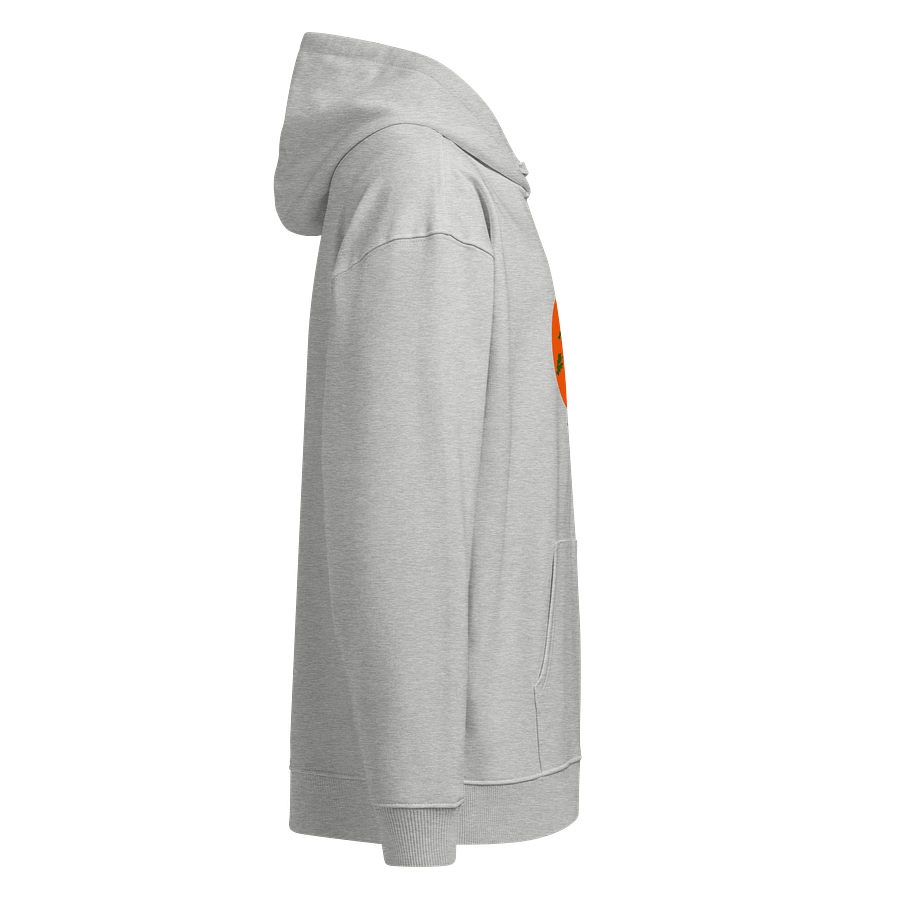 Organic Tree Canopy Hoodie product image (5)