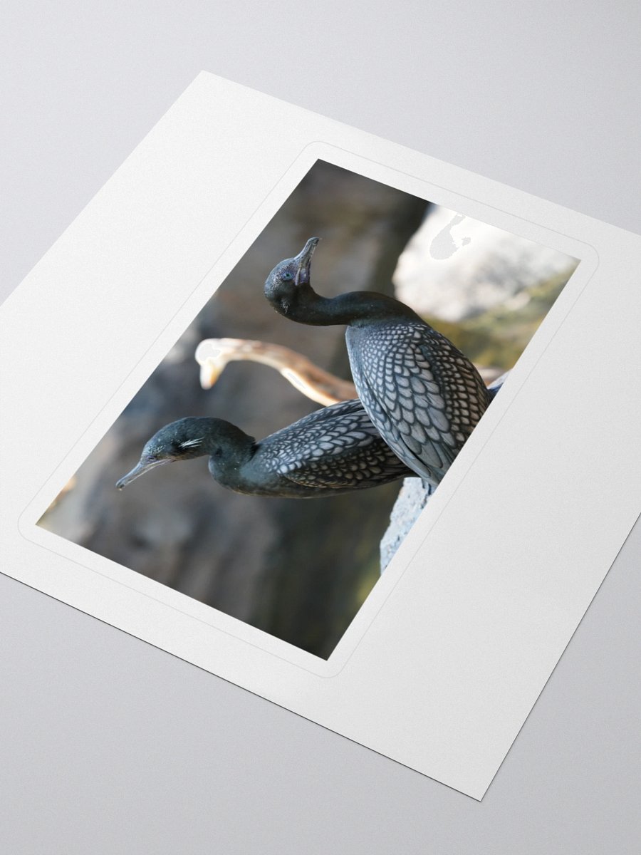Mystic Avian Kiss Cut Stickers product image (3)