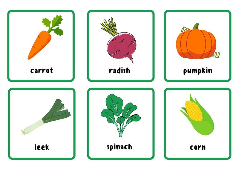 Animals Flash Cards for kids