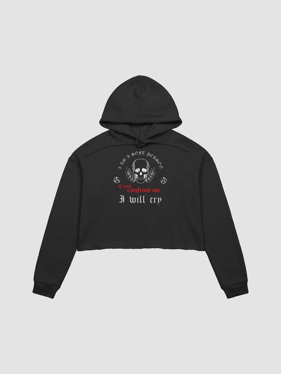 Soft Person fleece crop hoodie product image (2)