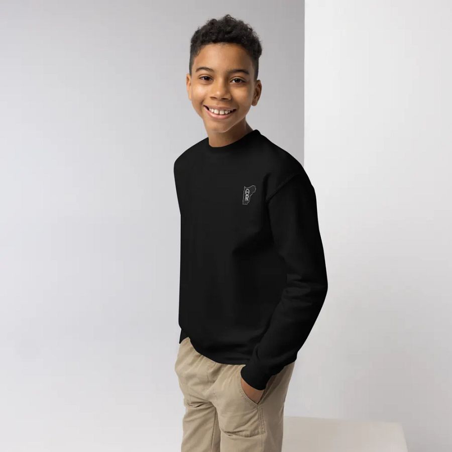 Kids HOTR Sweater product image (3)
