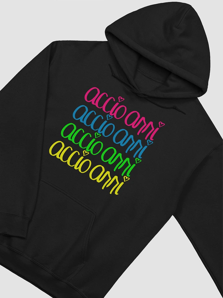 Signature Hoodie (Multicolor) product image (2)