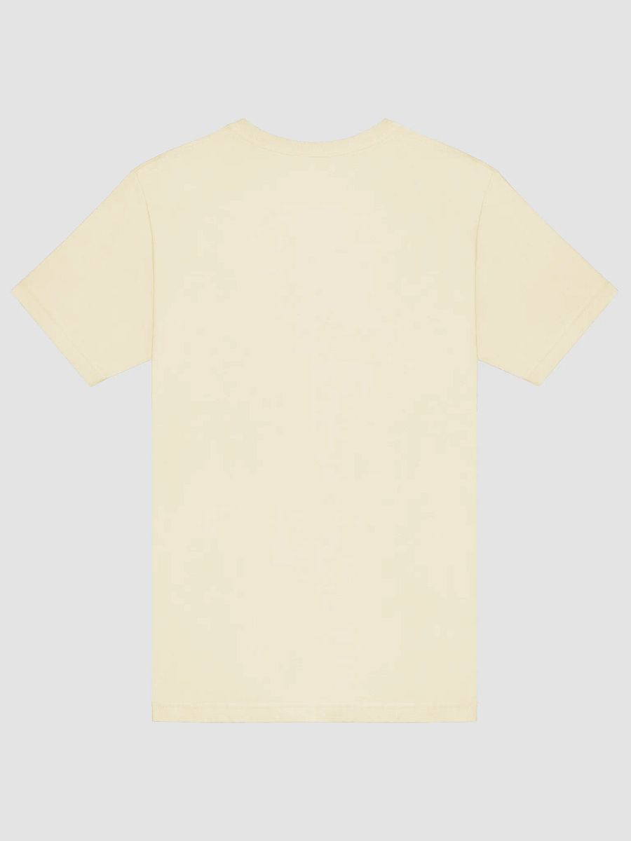 Invitro Fertilization Pregnancy Treatment, Bella Canvas T-shirt product image (17)