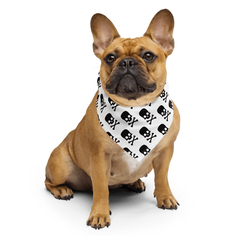 Skull & Crossbones Bandana product image (7)