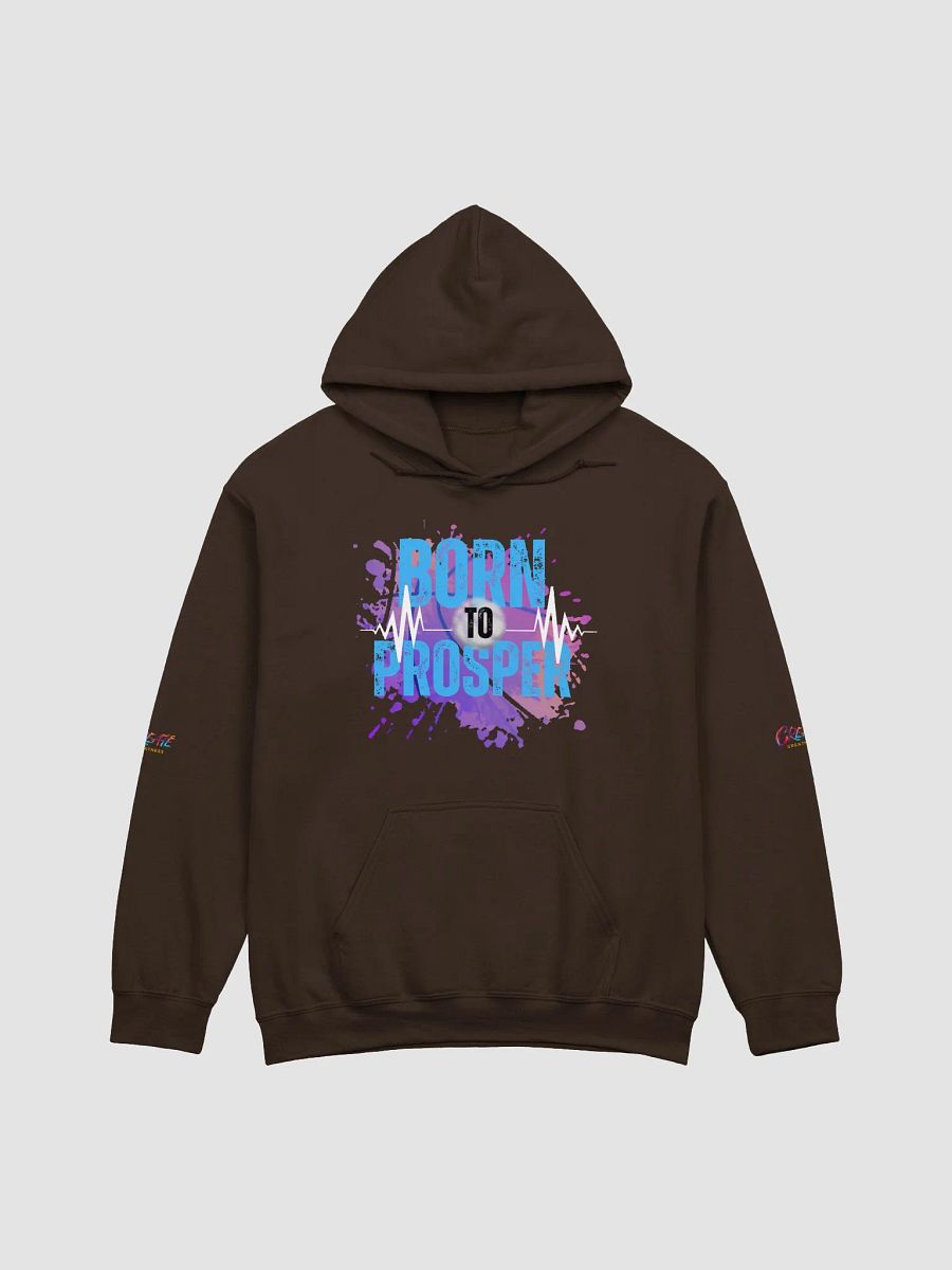 Born to Prosper Hoodie product image (1)