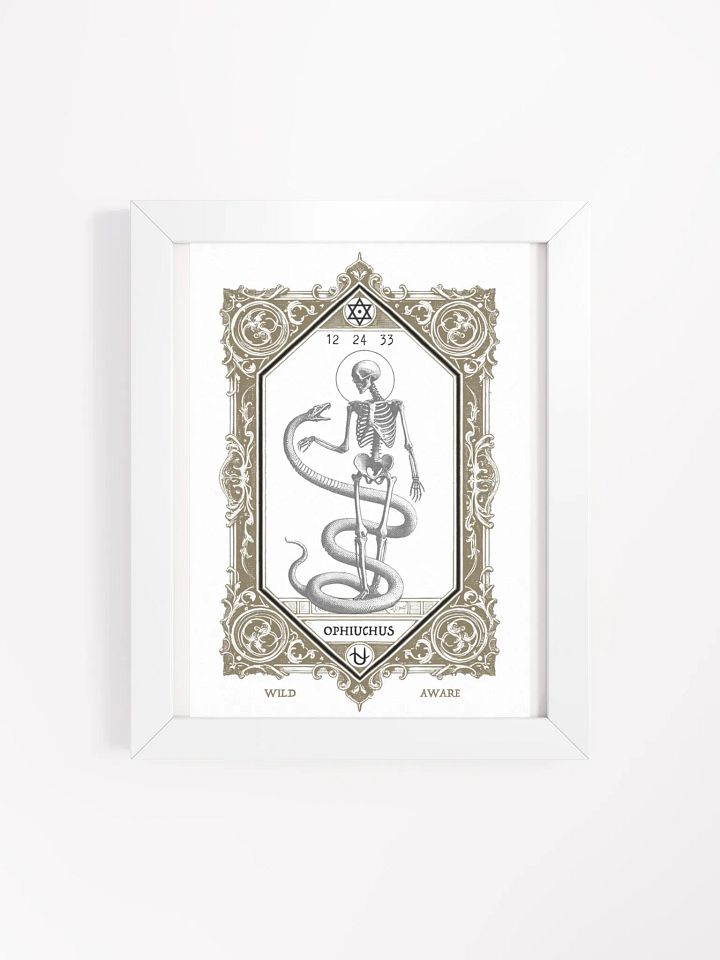 HERMETIC ZODIAC 8X10 Ophiuchus product image (1)