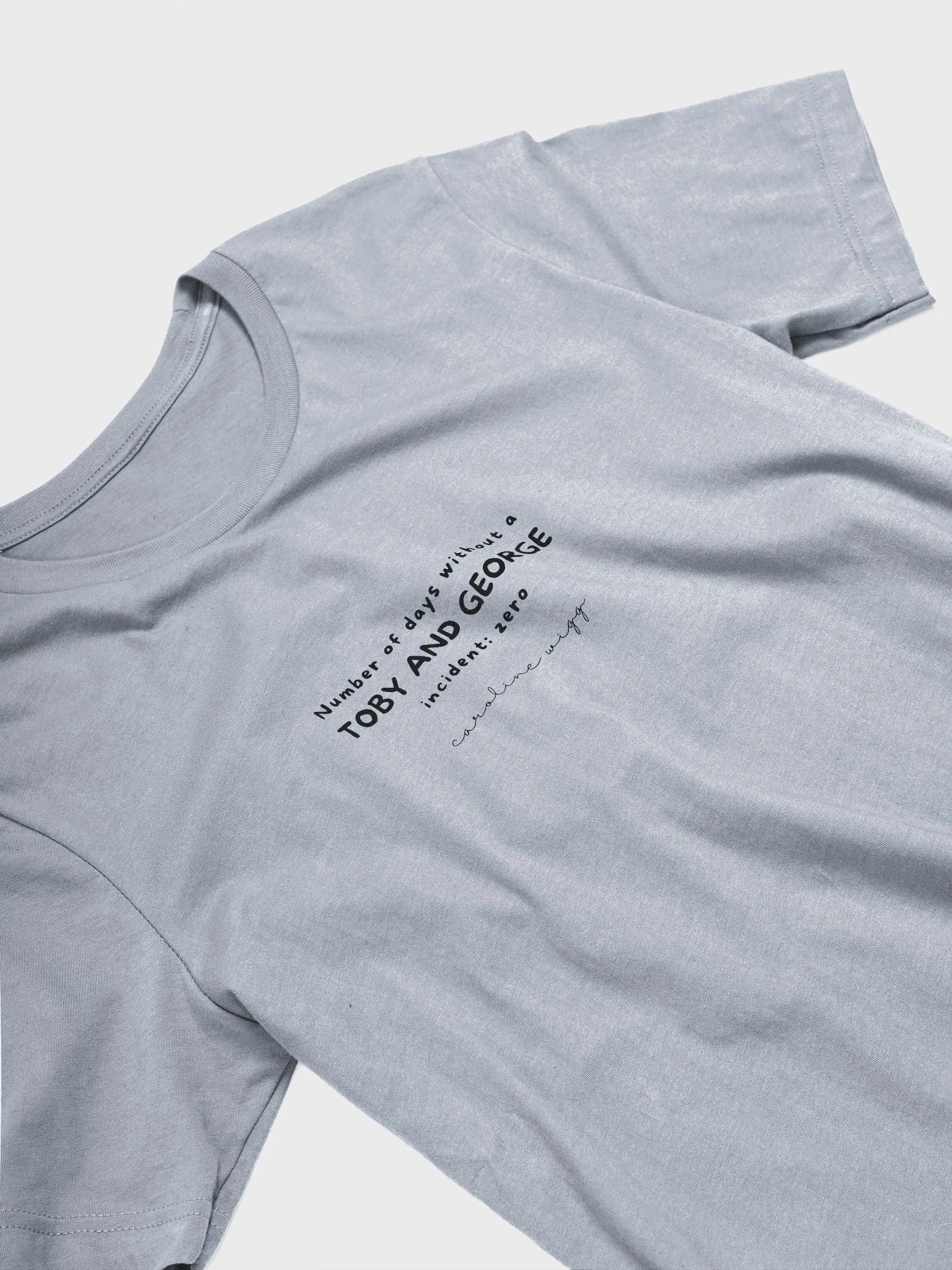 Toby and George Incident T Shirt - Light Colours product image (3)