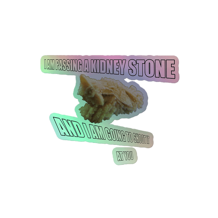 Kidney Stone product image (2)