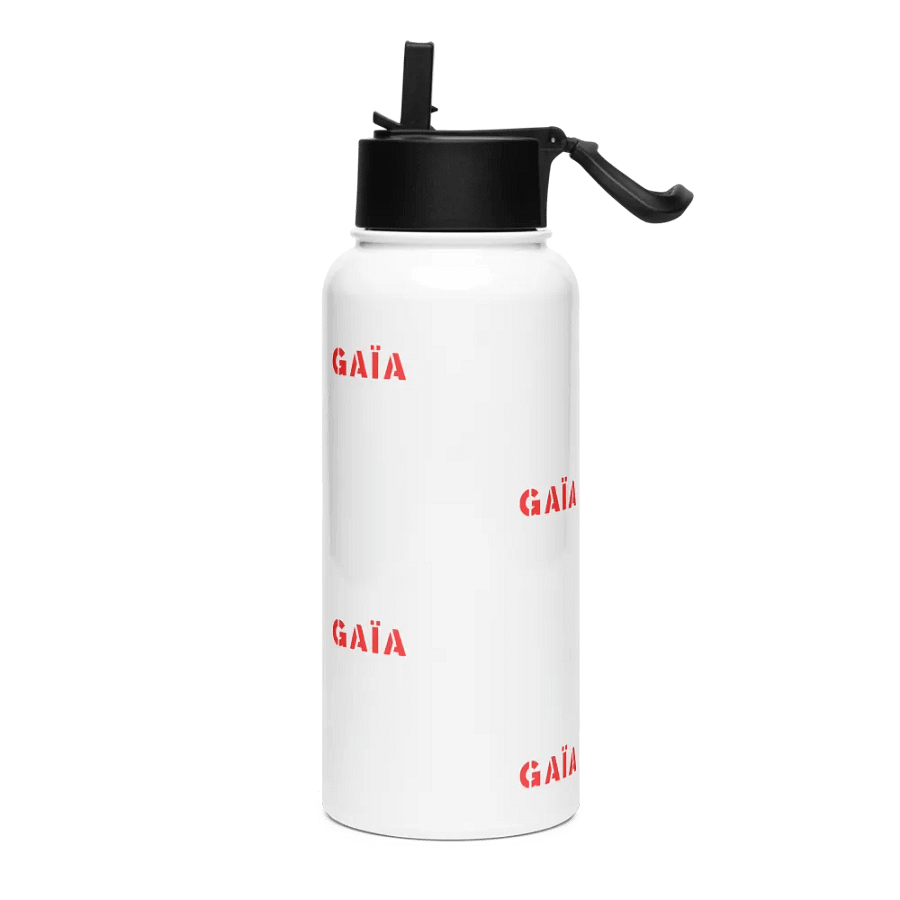 GAIA Red Pattern Stainless Steel Water Bottle product image (3)